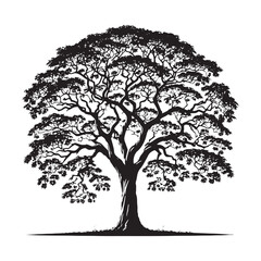 Obraz premium Detailed Mahogany Tree silhouette for wood and furniture themes - Mahogany Tree silhouette - Mahogany Tree vector - Mahogany Tree illustration - Mahogany silhouette - Mahogany vector 