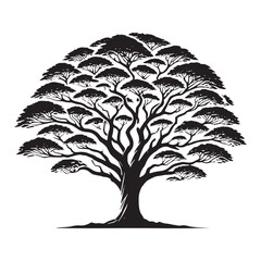 Tropical Mahogany Tree silhouette with rich branching details - Mahogany Tree silhouette - Mahogany Tree vector - Mahogany Tree illustration - Mahogany silhouette - Mahogany vector

