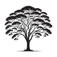 Elegant Mahogany Tree silhouette for nature-inspired designs - Mahogany Tree silhouette - Mahogany Tree vector - Mahogany Tree illustration - Mahogany silhouette - Mahogany vector
