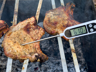two pieces of meat grilling, with thermometer reading 61.0 C. Meat appears browned and appetizing.