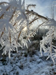 Macro photo, beam through ice crystals