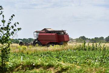 Red combine harvester in field during harvest season rural landscape agricultural machinery farming equipment summer day green vegetation blue sky