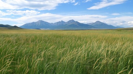 Fototapeta premium Serene Mountain Meadow Under a Summer Sky