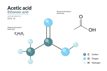 Acetic Acid. Ethanoic Acid. Vinegar. Structural Chemical Formula and 3d Model of Molecule. C2H4O2. Atoms with Color Coding. Vector Graphic Illustration for Educational Materials, Scientific Articles