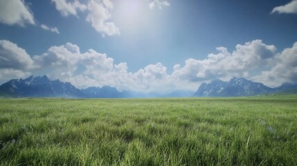 Fototapeta premium Vast grassland with distant mountains under a bright cloudy sky creating a serene landscape