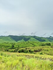 Obraz premium hilly views