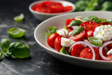 Ricotta cheese salad with cherry tomatoes, onion and basil. Healthy food