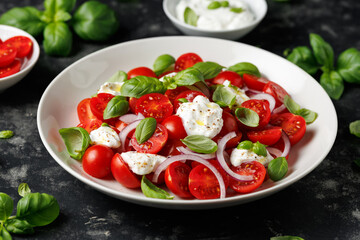 Ricotta cheese salad with cherry tomatoes, onion and basil. Healthy food