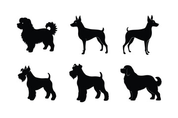 Assorted dog breed silhouettes in flat style