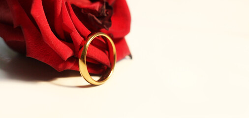 Golden wedding ring and red rose, macro image
