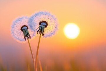 Two dancers silhouetted against a vibrant sunset sky reflecting joy and passion in a scenic outdoor...