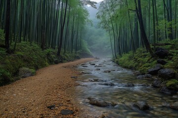 Fototapeta premium Misty bamboo forest with a gentle stream flowing through at dawn in a serene natural landscape