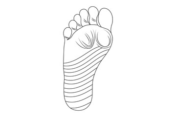 Foot sole continuous single line art of isolated outline vector drawing illustration 