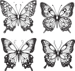 Intricately Detailed Black and White Butterfly Illustrations