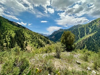 Green mountains of Kyrgyzstan. Naryn region
