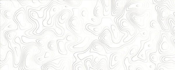 Sophisticated composition with intricate maze-inspired mapping and flowing structure
