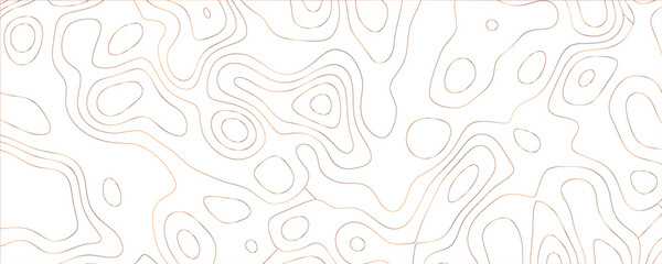 Modern minimalist illustration featuring interlaced contours and organic line dynamics
