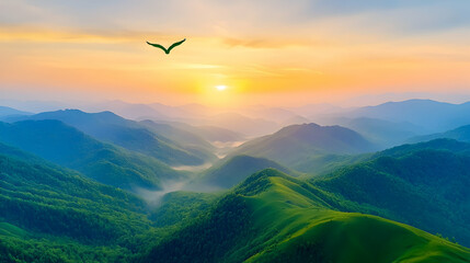Sunrise over misty mountain valley, bird in flight