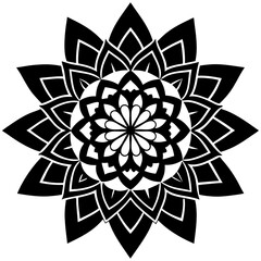 black and white abstract flower