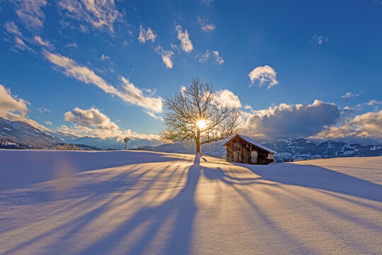 Winter - Allg&auml;u - Schnee - Traumtag - Berge - Baum - H&uuml;tte