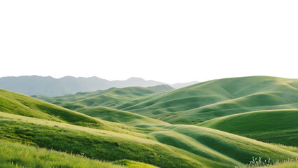 Green grassland landscape isolated on white or transparent png