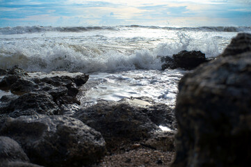 beautiful beach with coral and waves