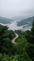 5. A winding mountain road through a dense pine forest, fog hovering low