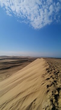 13. A vast desert expanse with sand dunes rolling into the horizon under a clear sky
