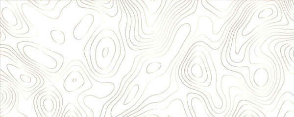 Artistic visualization with detailed layered mapping lines and fluid dynamic flow
