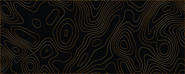 Modern artwork with detailed interwoven mapping elements and sophisticated flow
