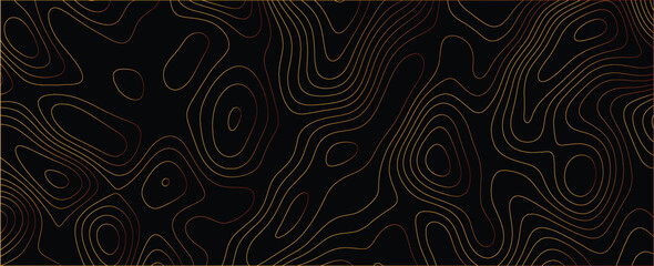 Modern artwork with detailed interwoven mapping elements and sophisticated flow
