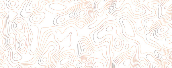 Modern illustration with elegant fluid curves and complex organic contours
