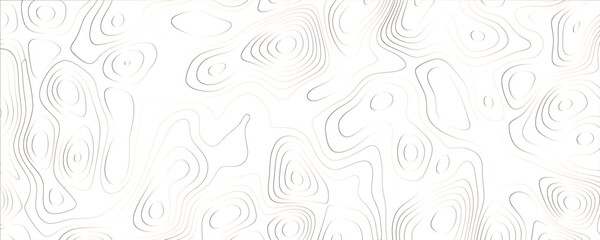 Dynamic composition featuring layered contours and intricately interwoven mapping lines
