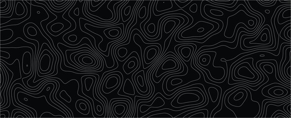 Modern minimalist artwork with intricate flowing contours and layered design
