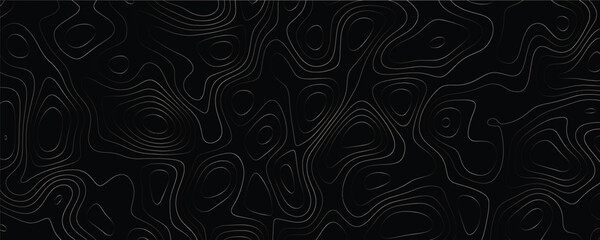 Elegant artwork with layered natural curves and innovative mapping elements
