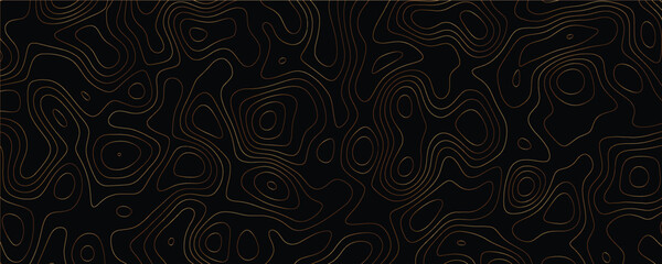 Detailed mapping design with interlaced fluid curves and modern geometric precision
