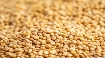 Obraz premium Close-Up of Raw Yellow Grains Piled Together Creating a Texture of Natural Agricultural Produce for Culinary and Health Uses
