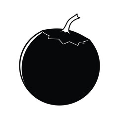 fruits vector illustration