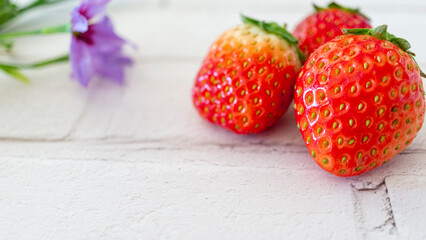 白い背景に新鮮な赤いイチゴと花