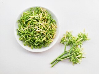 Uncooked papaya flower vegetables in a white background on a white background. 