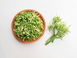 Uncooked papaya flower vegetables in a wooden plate on a white background. High angle view. 