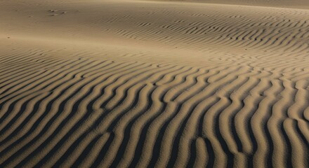 Obraz premium Wind made patterns in sand dune