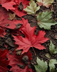 Warm red and soft green with subtle textures of decaying leaves and soil abstract Autumn concept background