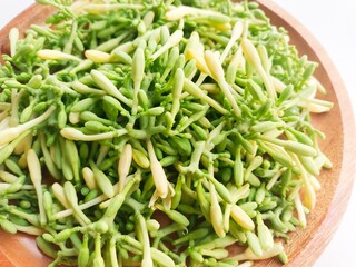 Close-up of uncooked papaya flower vegetables in wooden plate on white background.