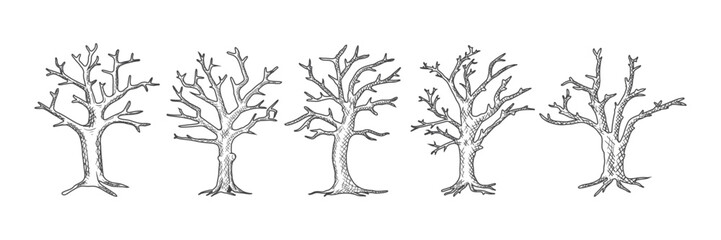 A collection of hand-drawn dry tree logos with various shapes in an ancient style