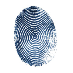 Blue Fingerprint  Identity  Security  Privacy  Forensics  Circle Pattern  Swirl  Texture