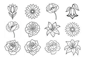 Flowers liner art set. Flowers vector bundle isolated on white background