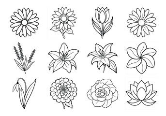 Flowers liner art set. Flowers vector bundle isolated on white background