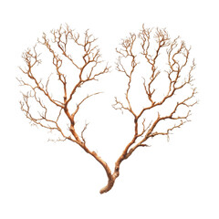 Heart-Shaped Branch Sculpture Representing Nature and Love