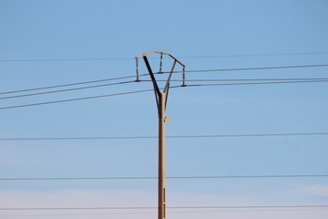 Electric pole with line wire